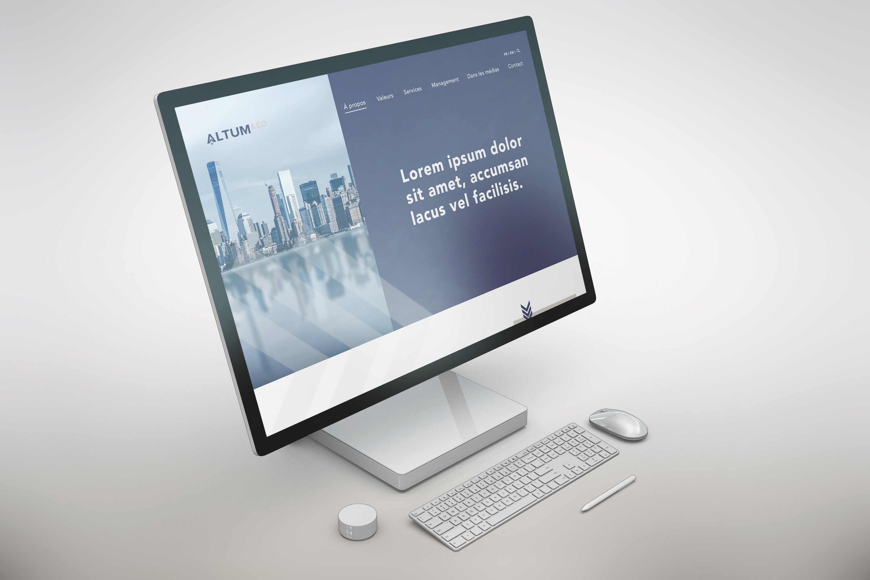 project-img